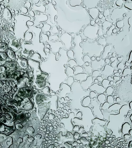 Close-up of various water droplets on a glass surface with a blurry background.