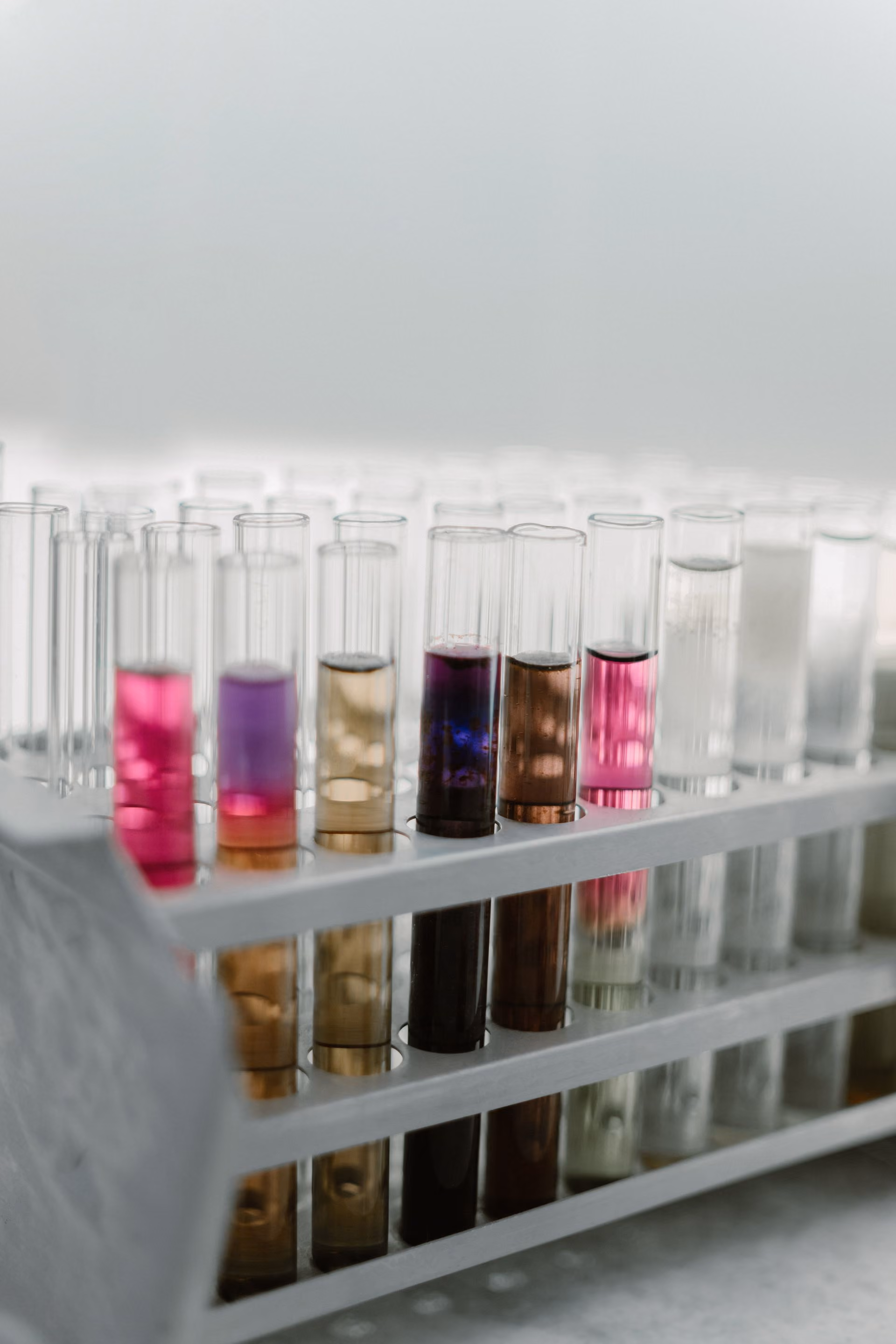 Test tubes with colored liquids in a rack on a lab bench with a light background.