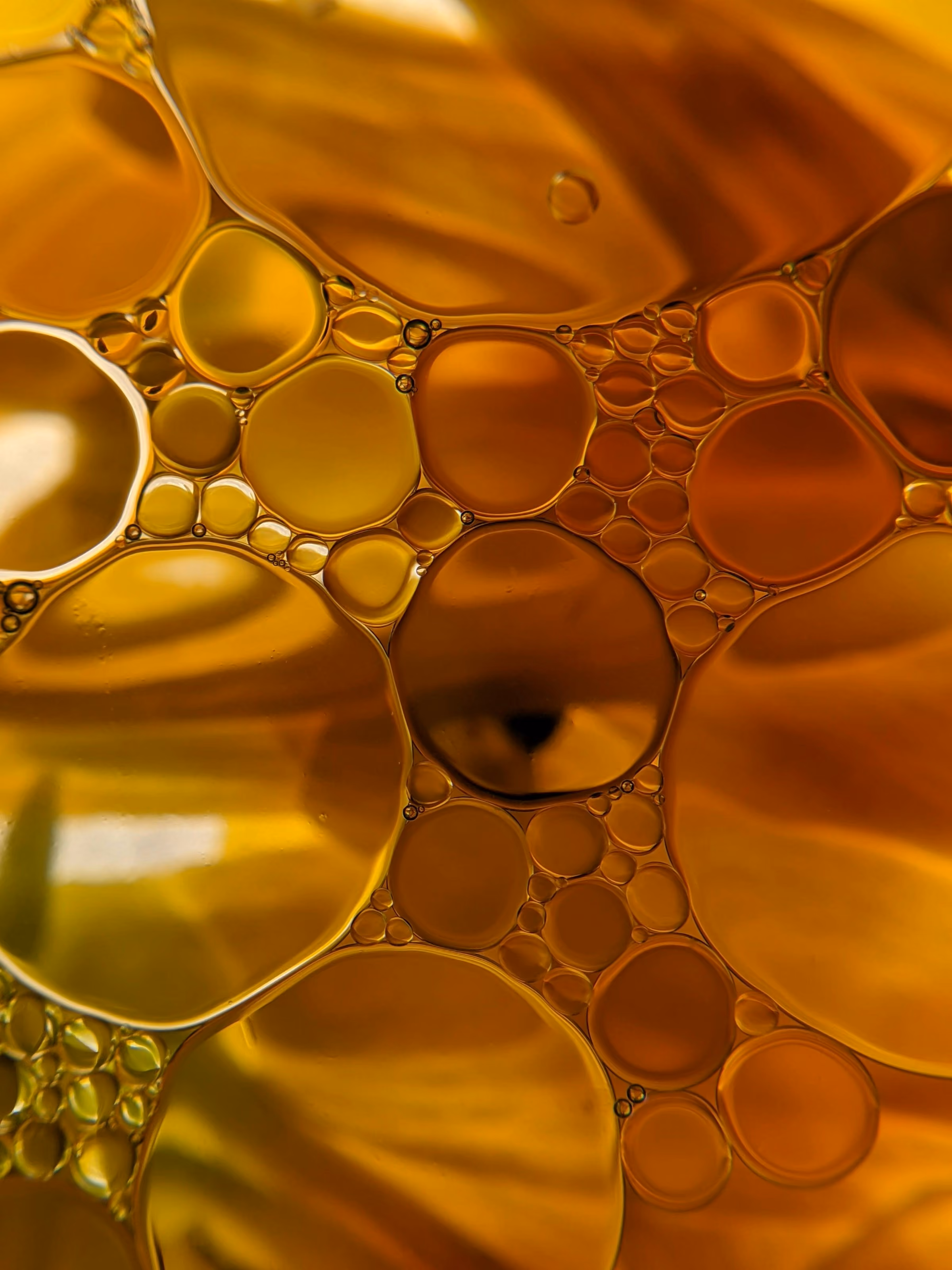 Close-up of golden and amber oil droplets clustered together in various sizes.